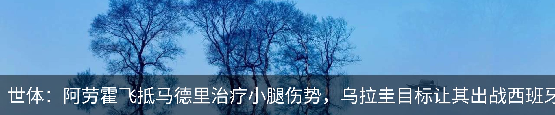 内页banner