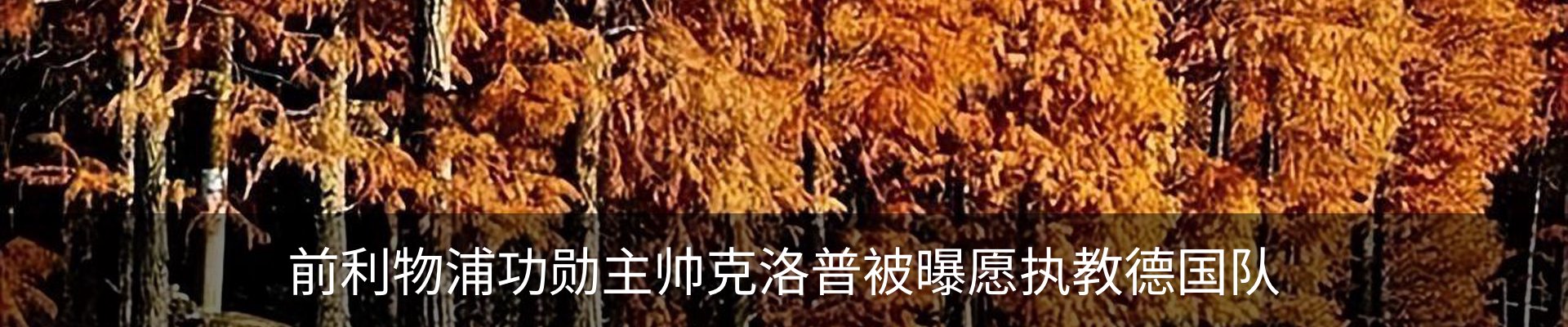 内页banner